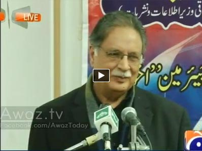 Peace committees should be allowed to work, no interference needed : Pervez Rasheed
